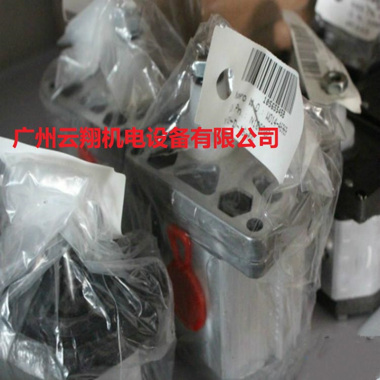 齒輪泵單個(gè)GHP1-D-16和GHP1-D-20Marzocchi