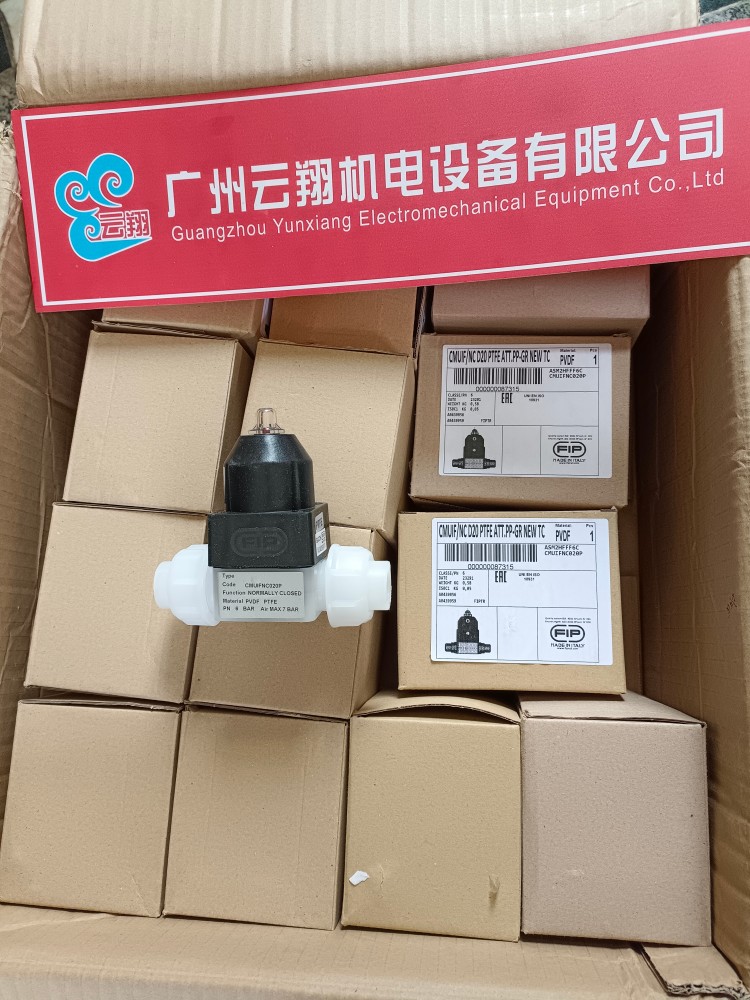 意大利FIP進(jìn)口流量計(jì)F3.00.H.04現(xiàn)貨原裝銷售