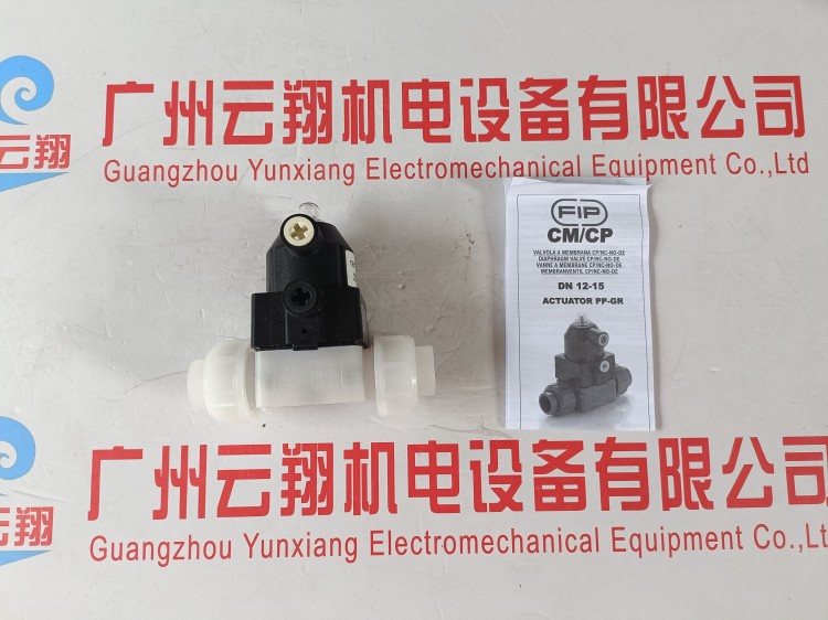 意大利FIP轉(zhuǎn)輪式流量變送器F6.30.01進(jìn)口原裝