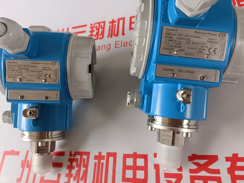 德國E+H 模擬式余氯傳感器CCS51