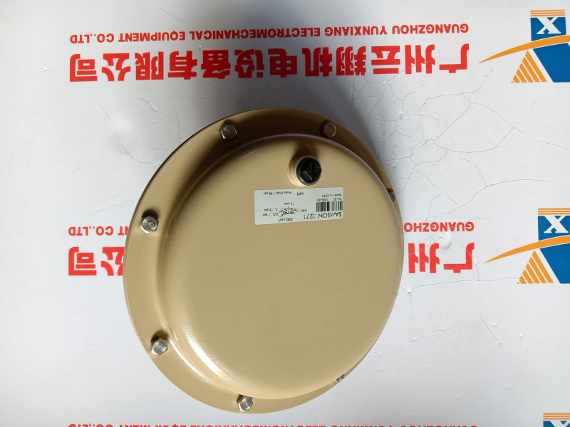 薩姆森SAMSON-01163277DN100PN40